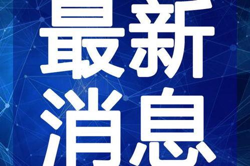 丸子娱乐爆料视频大全最新,最新爆料视频大盘点