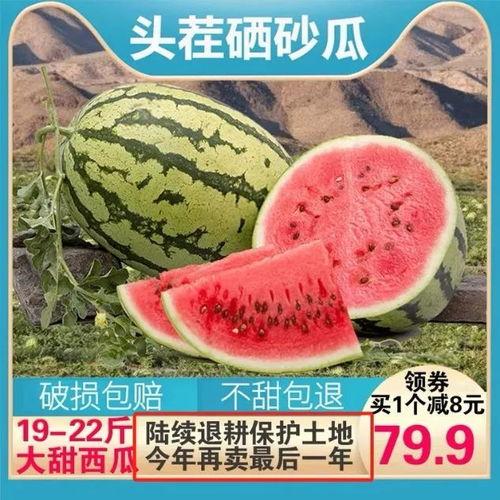 吃瓜的乐趣图片,揭秘网络热议背后的欢乐瞬间