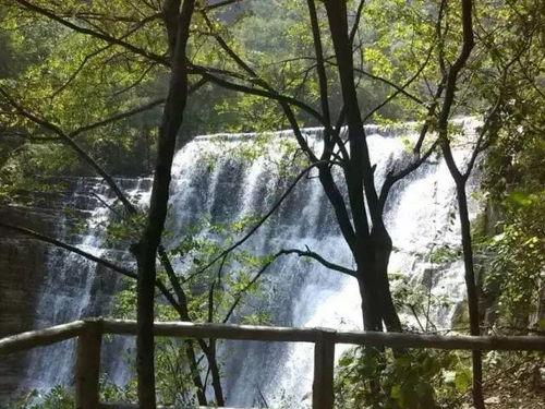 林州森林吃瓜,瓜果飘香，生态宜居的绿色家园