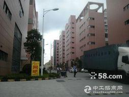 福永新和村网红,网红打卡地，古韵新潮的乡村魅力之旅