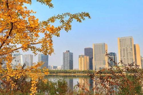 郑东龙子湖夜间网红,郑东龙子湖网红夜景掠影