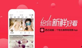 怎么调整头条视频时间,打造个性化内容策略