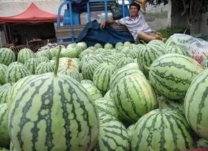 吃瓜崩溃的视频