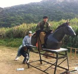明星都会骑马吗,揭秘骑马成为明星新宠