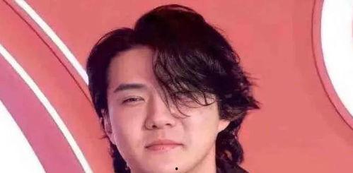 韩国男明星李,韩国男星的多面魅力与星途历程