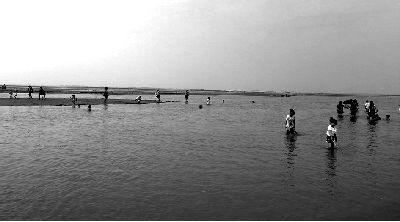 吃瓜事件韩城黄河滩,揭秘韩城黄河滩的神秘事件