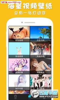 爆料彩蛋视频下载软件免费,爆料彩蛋视频软件，轻松获取热门资源