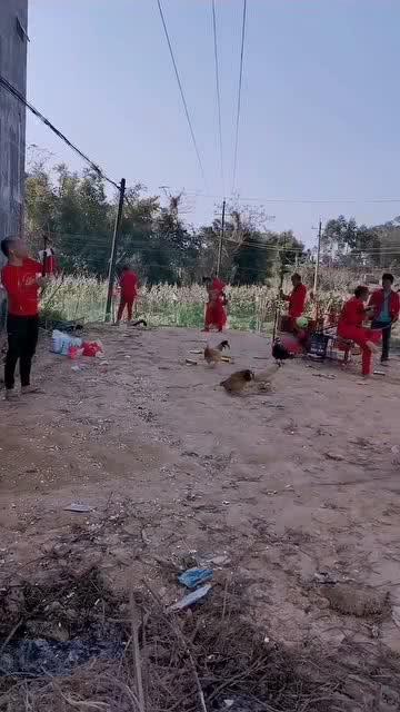 广西南宁网红打工案子,揭秘网络直播背后的辛酸与争议