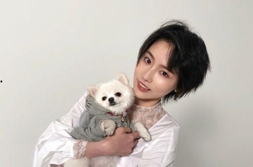 明星斗主,璀璨星途的巅峰对决